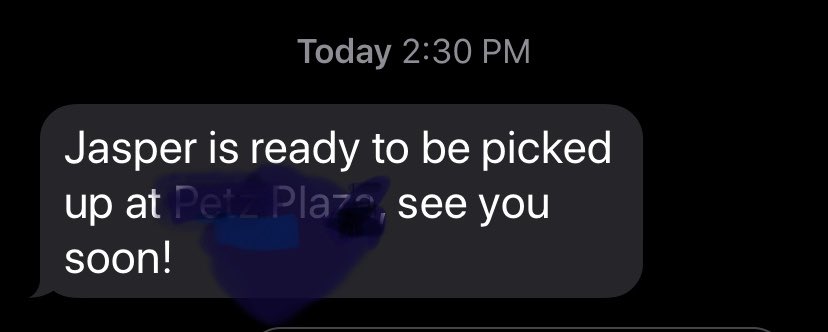 When your pooch tells someone to call Mommy bc he’s ready to come home🐶