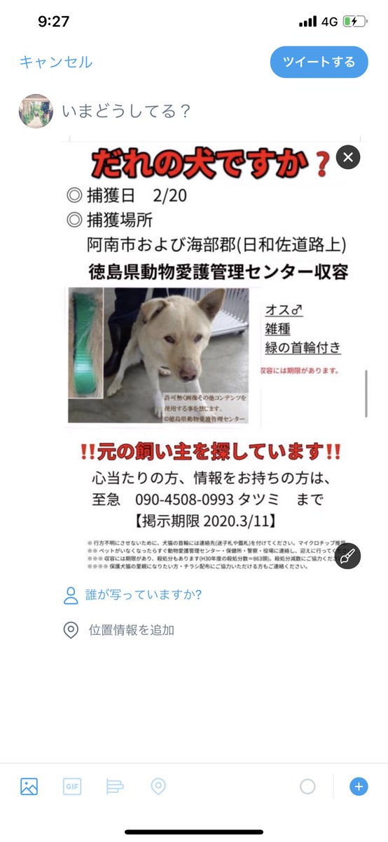 タコ ちゃん 迷子 迷子犬 迷子の犬 迷子ペット 迷子犬と保護犬情報 迷子犬の掲示板 迷子犬の掲示板 迷子犬保護 迷子犬情報 徳島 徳島県 徳島県収容 徳島県動物愛護管理センター 徳島県迷子 里親 里親募集中 里親募集 里親様募集中 里親