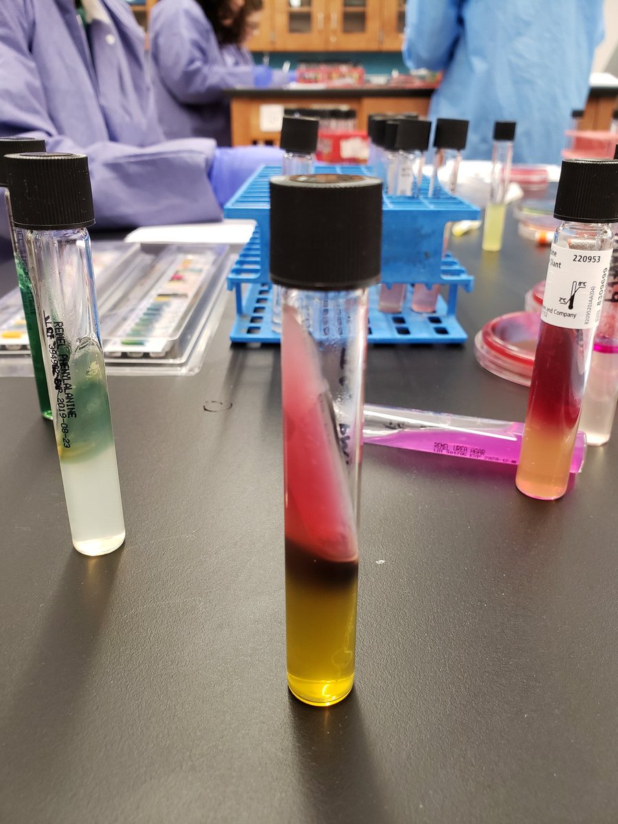 mbflaws's tweet photo. Heme and Chem can't compete with the colors of Micro!! @RushUHealthSci @Rush_MLS #lab4life #labrocks https://t.co/xFUTlVYxpU