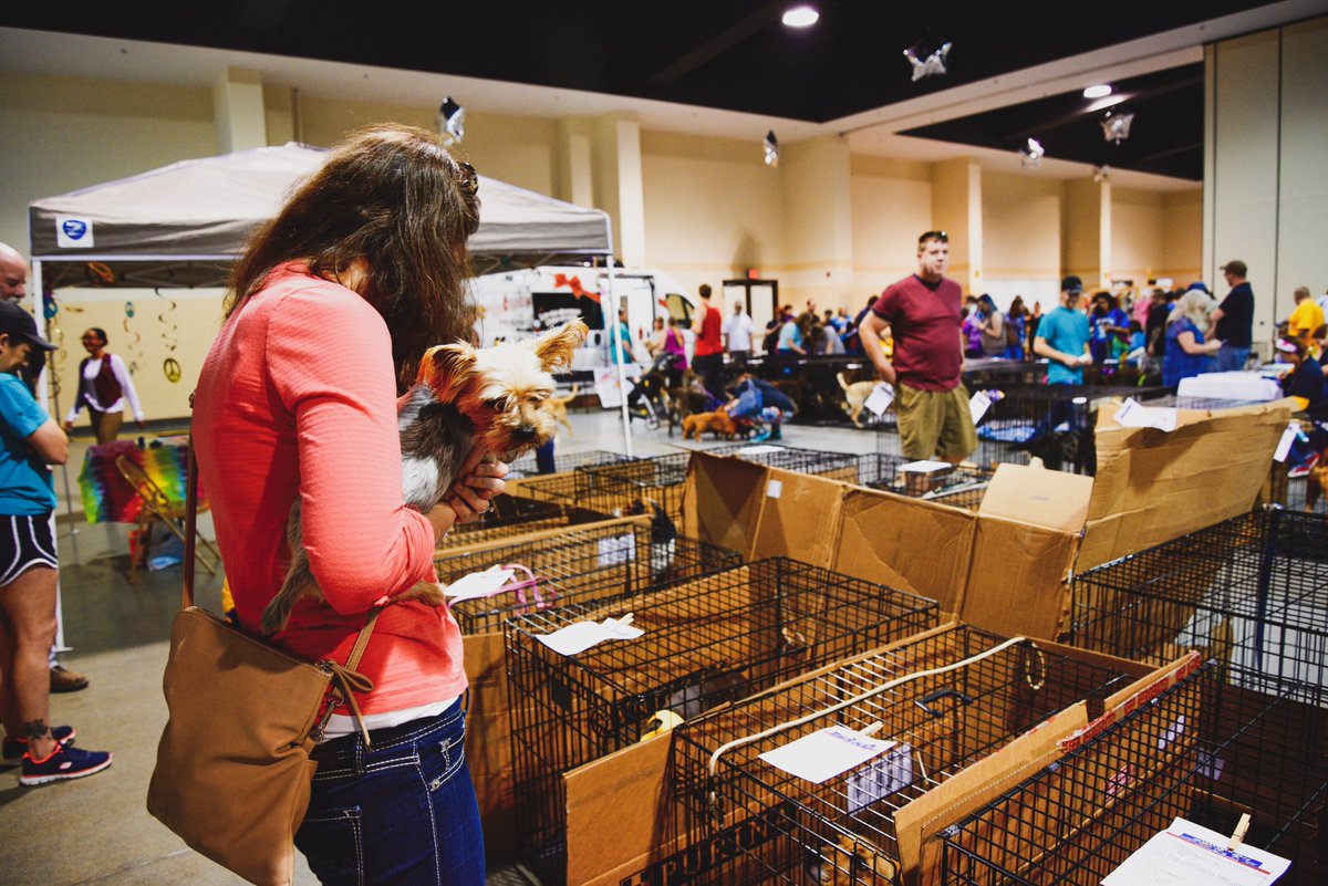 AD | Looking for a new best friend with four legs? 💜🐾 Check out Woofstock Pet Festival, Low Cost Clinic &amp; Mega Adoption on Sunday, March 29th from 8:30 am to 3:00 pm at the Castine Center! Proceeds benefit <a href="/NSHumaneSociety/">Northshore Humane Society</a>; visit our FB page for more details 🐶 #northshorela