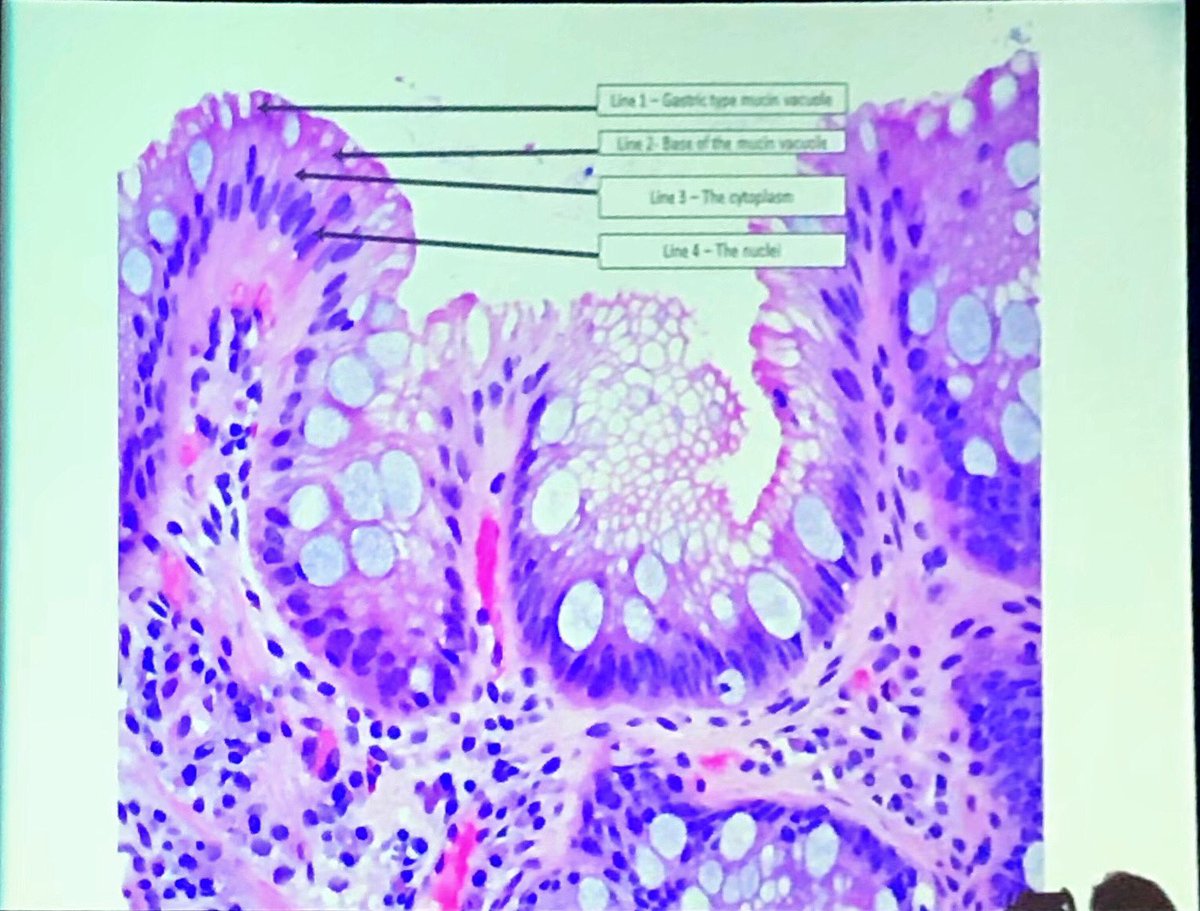 Maryam Pezhouh, MD, MS tweet media