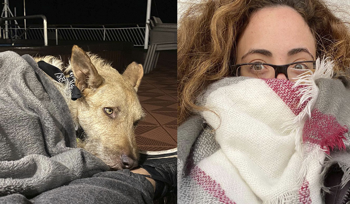 📷📷 La pesadilla de Shaylo y su familia: obligados a viajar a Gran Canaria en cubierta en pleno invierno diariodeavisos.elespanol.com/2020/03/la-pes… #Tenerife #GranCanaria