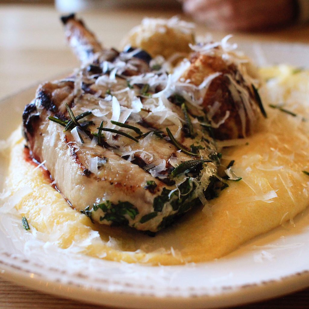 Cibo 17th tweet media