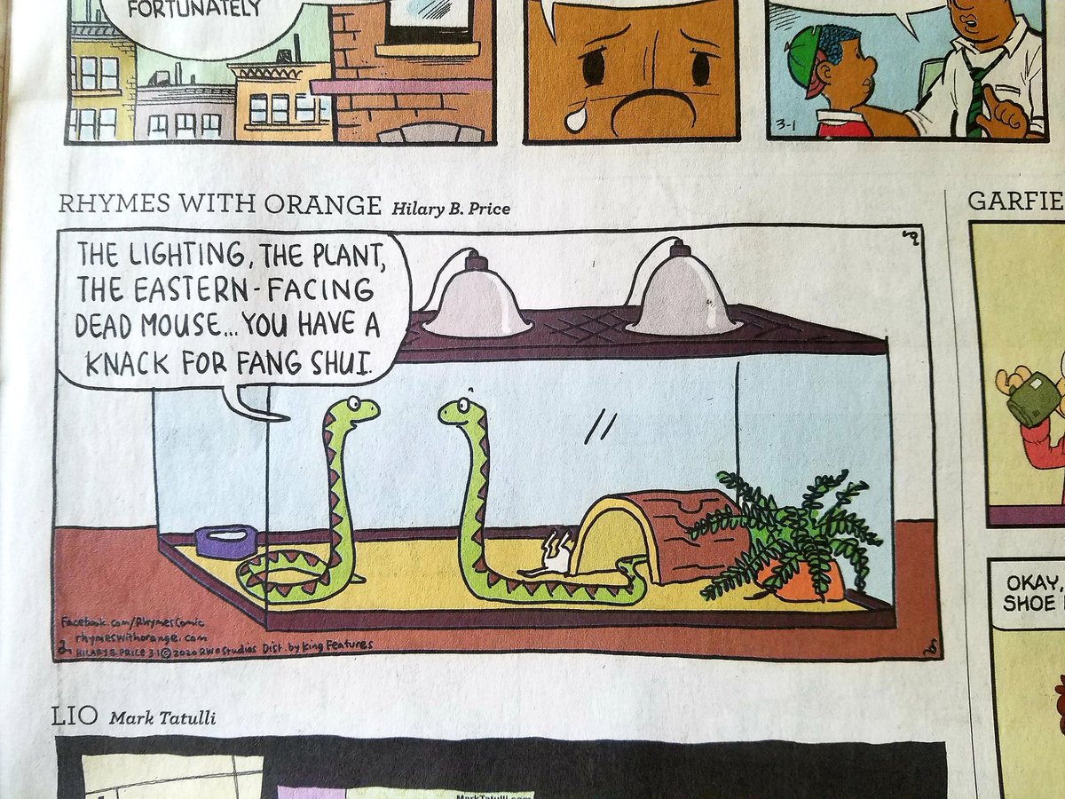 As someone who once spent a fair amount of time cleaning the tanks of some beloved and cantankerous snakes, Rhymes w Orange spoke to me this morning! Any other good puns, snake friends?