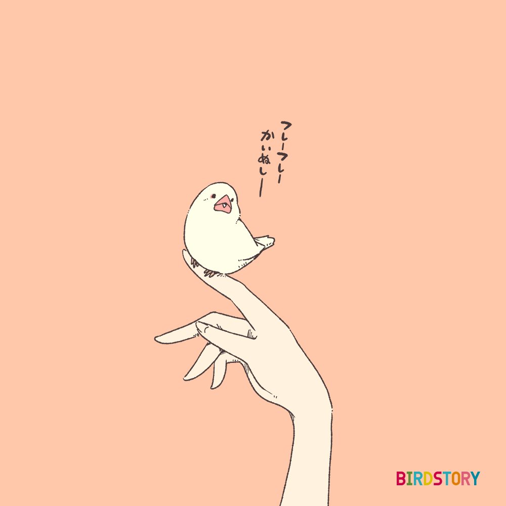 「おはようございます。
本日は3月2日、ミニの語呂合わせから、ミニの日との事です?」|BIRDSTORYのイラスト