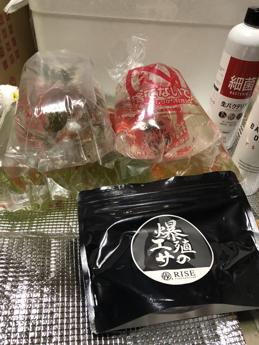 zero_squad02's tweet image. ラリーは残念でしたがせっかくなので
奈良・京都・大阪のローキーズ巡り😄
ほんの少し戦利品も👍

年末ぶりの方やたくさんの人に会えて、関西圏いい思い出ばかり♫

2日間お会いした方々ありがとうございました。また行きます！！