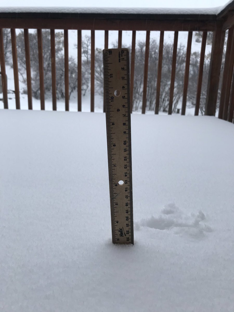 I was hoping this would be rain, but no! Almost 3” of snow so far. #readyforspring #utwx <a href="/NWSSaltLakeCity/">NWS Salt Lake City</a>