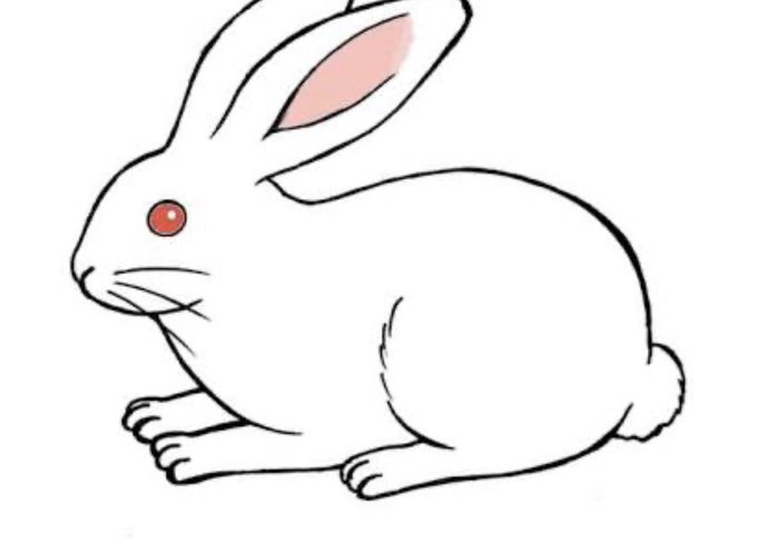 寂しくて死ぬのは嘘のtwitterイラスト検索結果 寂しくて死ぬのは嘘のtwitterイラスト検索結果