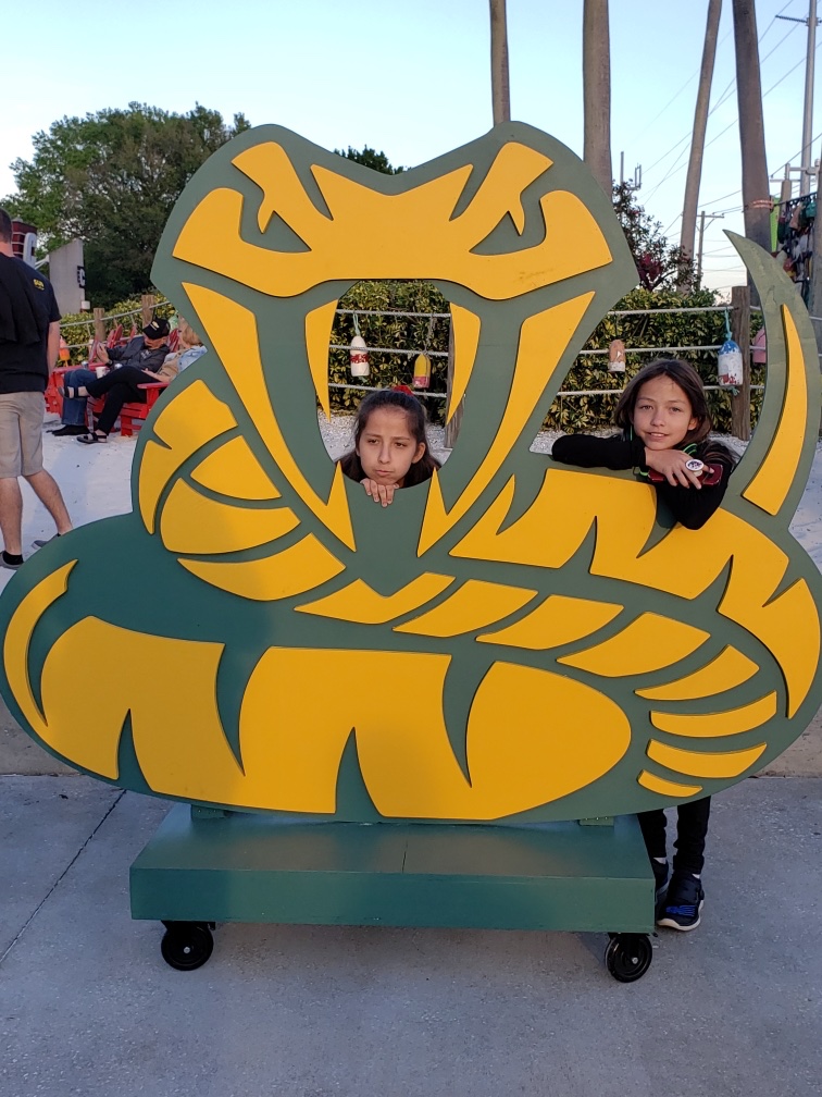 Gr2H2016's tweet photo. These 2 first timers are enjoying the game. Go Vipers!  #READYTOSTRIKE https://t.co/qinG8xR06Z