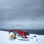 Photo by Daniel Byström (@DanielBystrom)