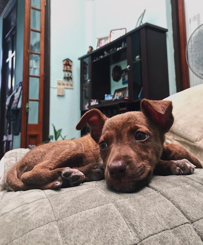 Gonzalo (@gonp05) on Twitter photo 