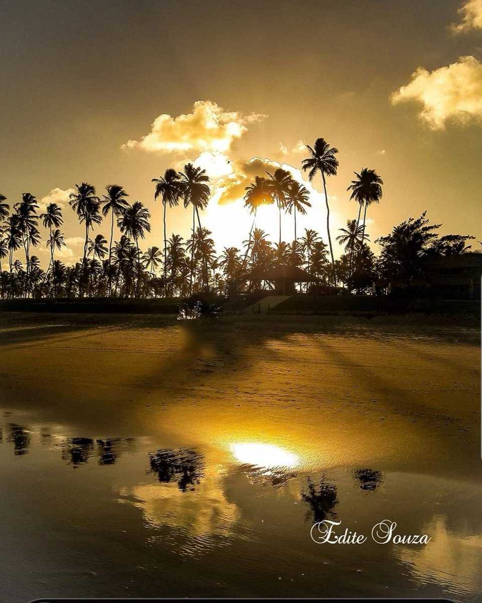 Edite_stylist21's tweet photo. #Praias do Brasil #sunsetphotography #sunsetbrasil https://t.co/ciYVuzHnR7