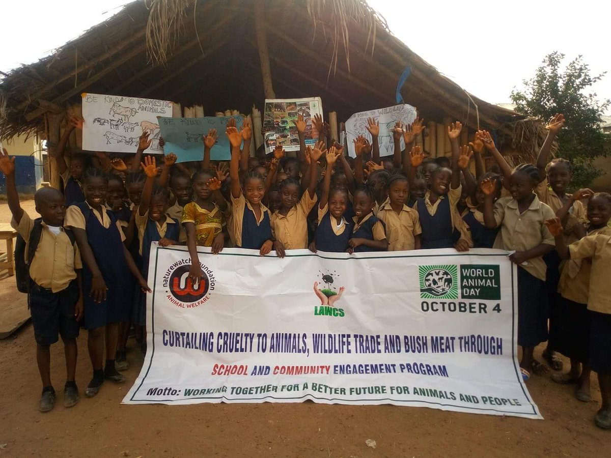 LiberiaAnimal's tweet photo. When you make a small donation, you help prepare and inspire a whole generation that will stand up for the protection of animals. https://t.co/r6A9R1DB7q
#WildlifeProtection #Wildlife #StopBushMeat #StopWildlifeTrade #StopAnimalAbuse #HelpAnimals #HumaneEdcation #Education https://t.co/W4dOesARdy