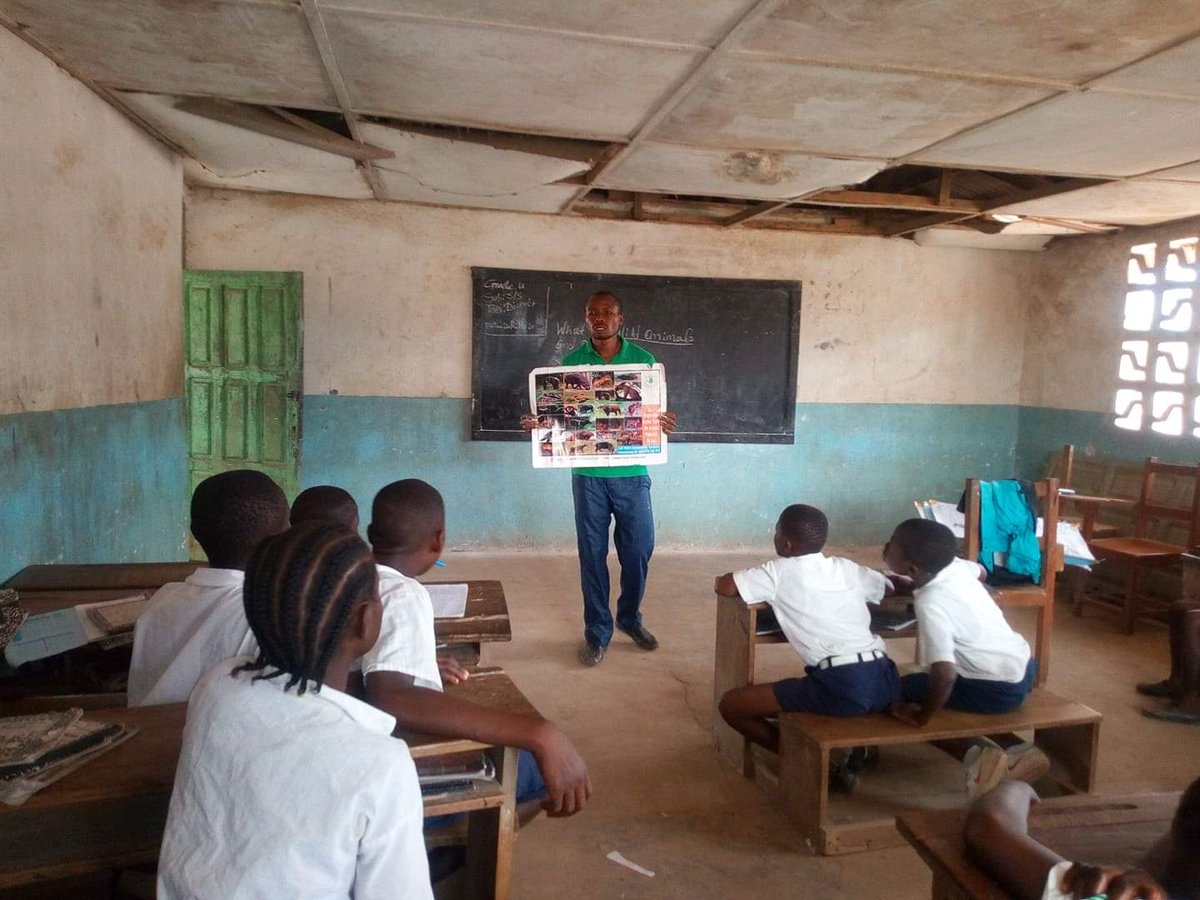 LiberiaAnimal's tweet photo. When you make a small donation, you help prepare and inspire a whole generation that will stand up for the protection of animals. https://t.co/r6A9R1DB7q
#WildlifeProtection #Wildlife #StopBushMeat #StopWildlifeTrade #StopAnimalAbuse #HelpAnimals #HumaneEdcation #Education https://t.co/W4dOesARdy