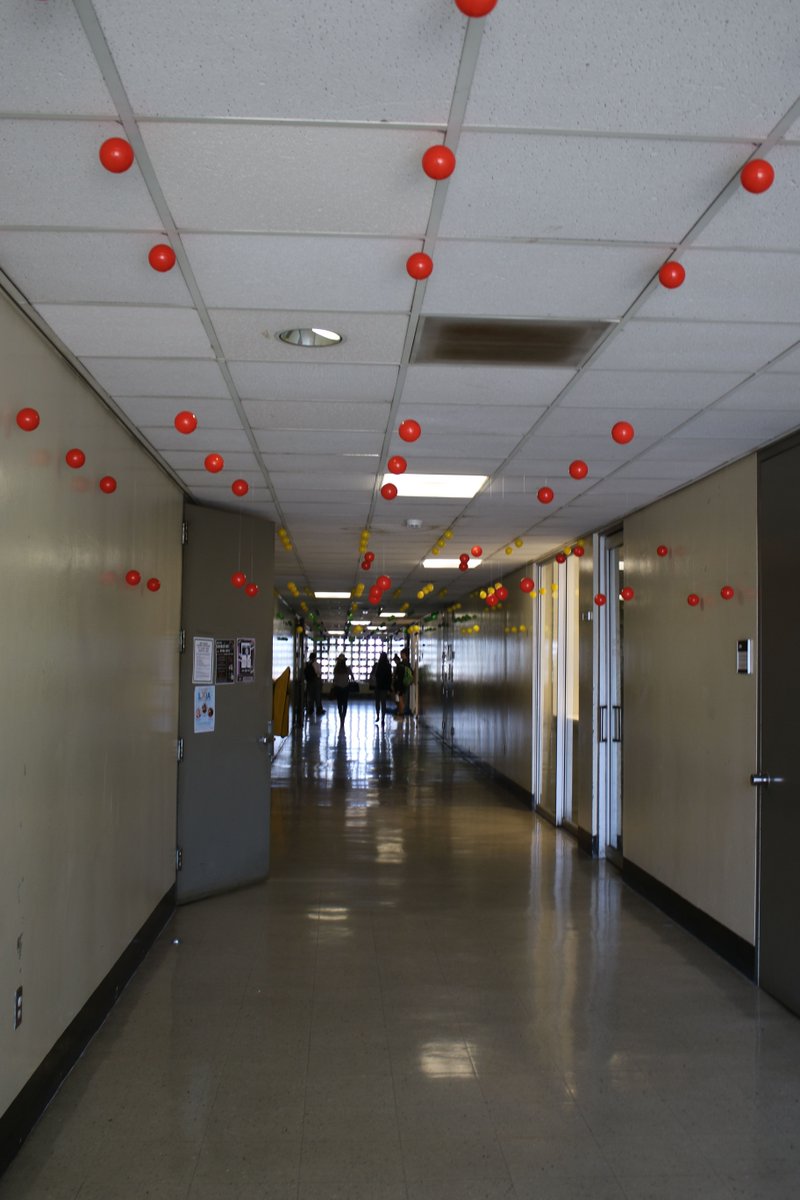 CSUFCOTA's tweet image. Art 478 &amp;amp; 578 Site-Specific Installations Spring 2020
Prof. Linda Kroff
Department of Visual Arts

#CSUFCOTA #CSUF #CSUFVisualArts