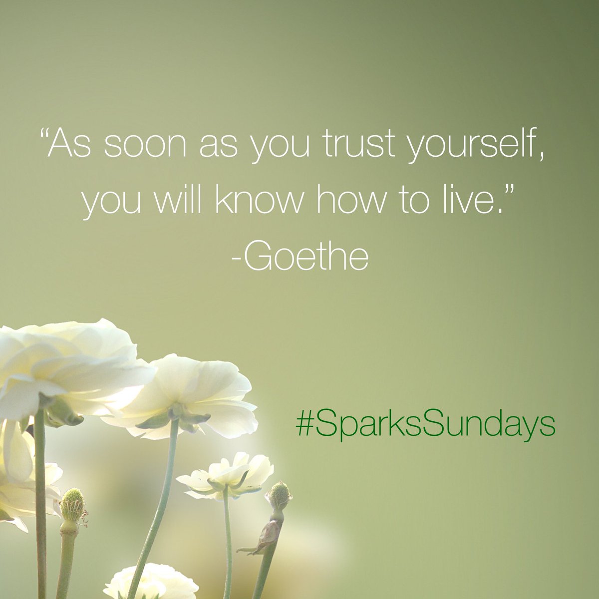 TheMusicMedium's tweet photo. Happy Sunday!
 #happysunday #sunday #trust #trustyourself #know #knowyourself #knowhowtolive #live #goethe #goethequote #goethequotes #inspirationalquote #inspirationalquotes #sunday #sparksgirl #sparkssundays #sparks #sparksgirlforever #jennifersparksmusic #jennifersparks https://t.co/YJiKSzNzDi