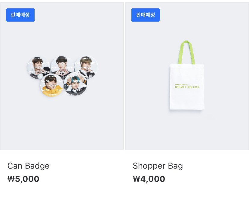 58%OFF!】 TXT 2020 FANLIVE スローガン ショッパーバッグ ミニフォト