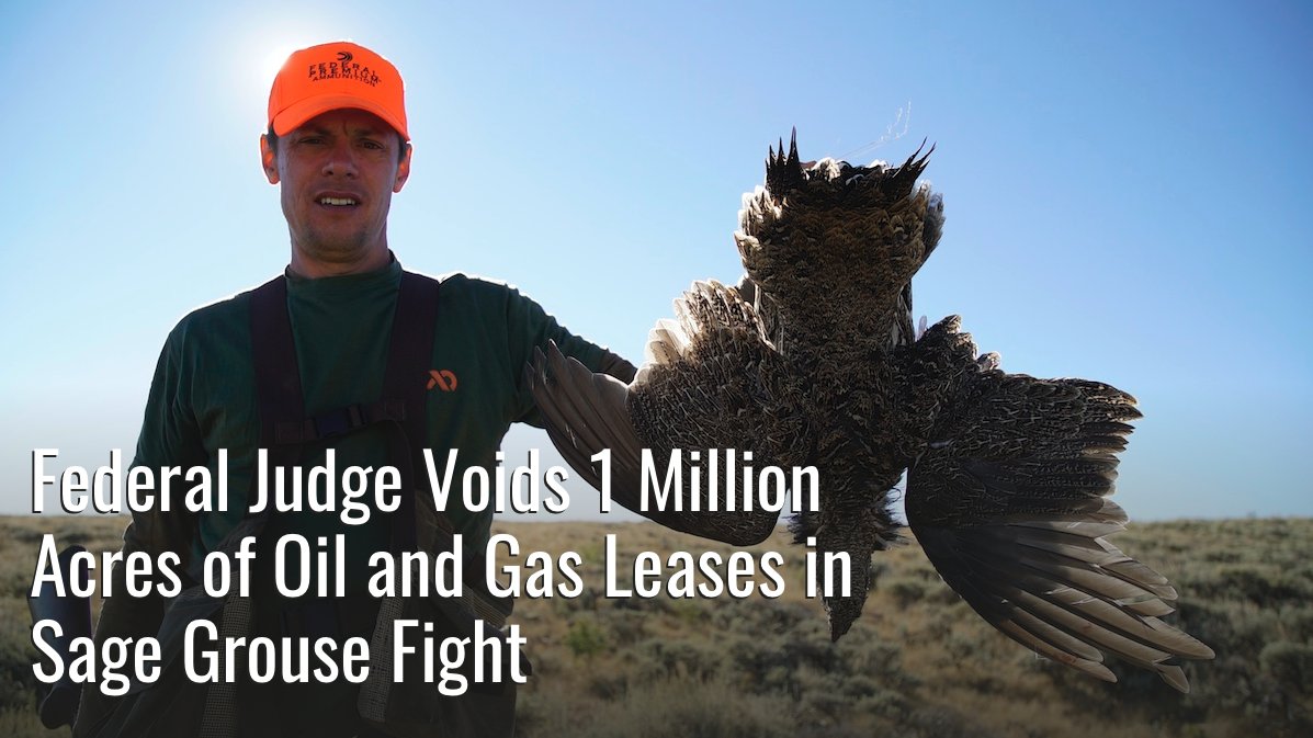 MeatEaterTV's tweet photo. Conservationists scored a victory for sage grouse Thursday when a federal judge ruled that nearly a million acres of public lands oil and gas leases were made in error because the BLM did not provide sufficient public comment periods.https://t.co/SAY5JhWa0E https://t.co/T1iBt70JOx