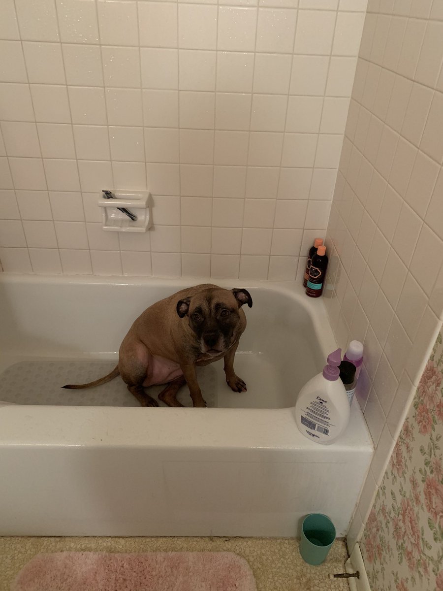 mcguireis9's tweet image. When you thought someone was your friend but you get betrayed... 🦨🦨#backstabbed