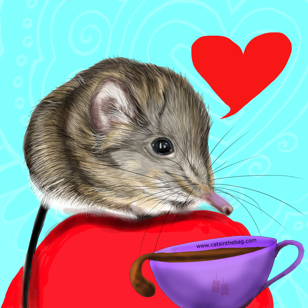 catsinthebagpur's tweet photo. What my #coffee says March 1 - Begin with self-love, it makes life joyful! #elephantshrew #shrew #coffeelovers #joy #dreams #manifest #love #selflove #mentalhealth #magic #createyourmagic #storyteller #illlustrator https://t.co/aMV43PfqLG
