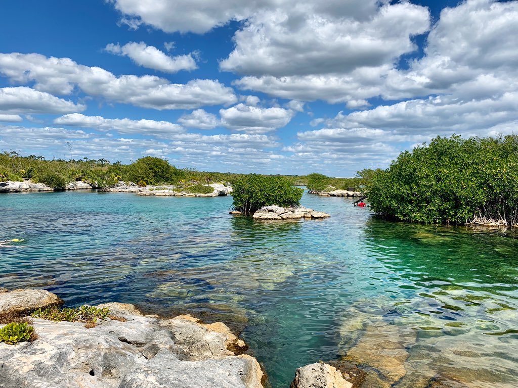 ceciolivos's tweet photo. #RivieraMaya #akumal https://t.co/NwCvAaSeit