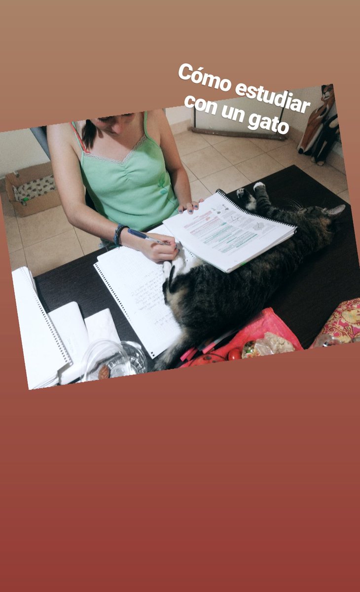 McArenaaa's tweet photo. @saintmaili Guardo una foto por cada compañera que invade cuando me junto a estudiar en mí casa https://t.co/jqiHe4D3Ds