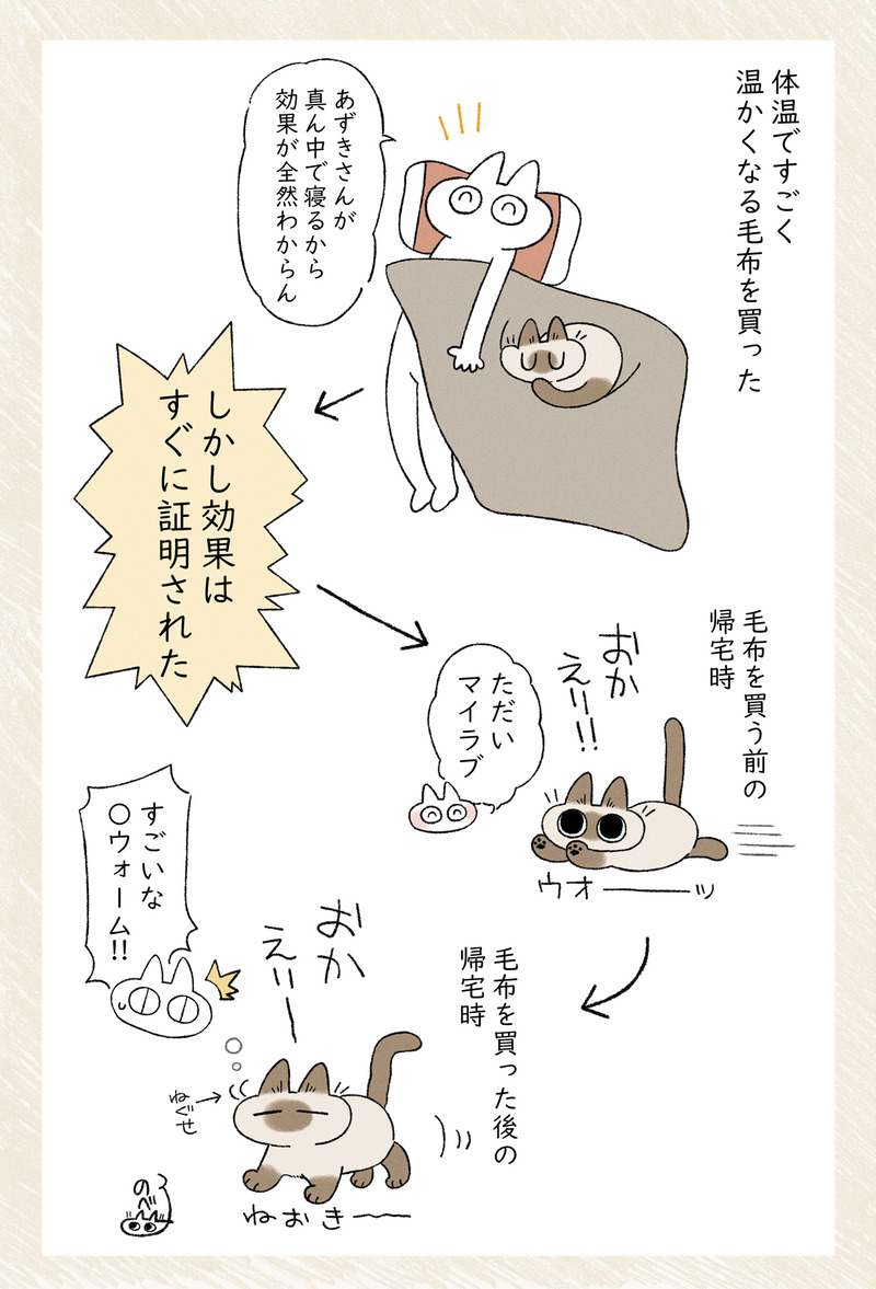 すごいよN○ォーム #シャム猫あずきさんは世界の中心 