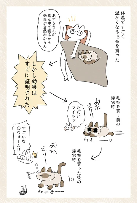 すごいよN○ォーム #シャム猫あずきさんは世界の中心 