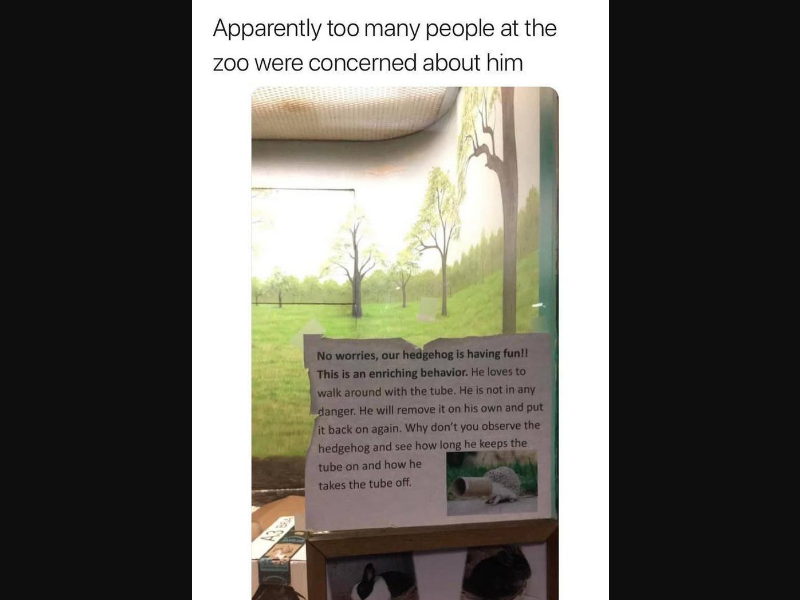 Mr_Memester_'s tweet image. #hot #dump #warmish #day #50pc #memes #mrmemester #dank #memes2020