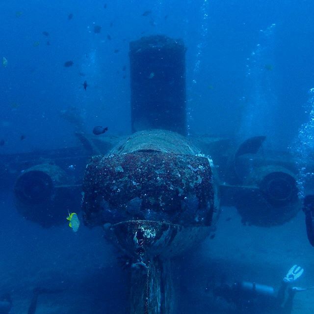 WadeaboutBlog's tweet photo. Have you dived the #Tribird? Here in #boracay on 1st March 2012 a Russian Yak 42 passenger aircraft was deliberately sunk as a dive site.  Great 20m vis. Nice deep dive (27m)  #philippines #scuba #scubadiving #padipro #paditv #wadeabout https://t.co/ZNQTo0qCRh