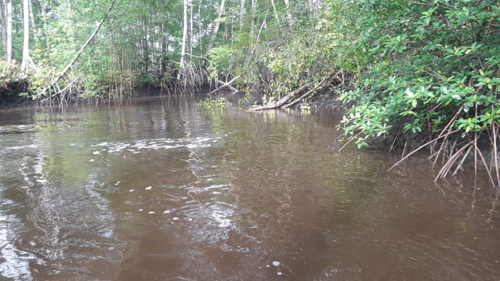 httpspbstwimgcommediaESEvL_jW4AASuNkformatjpgnamemedium