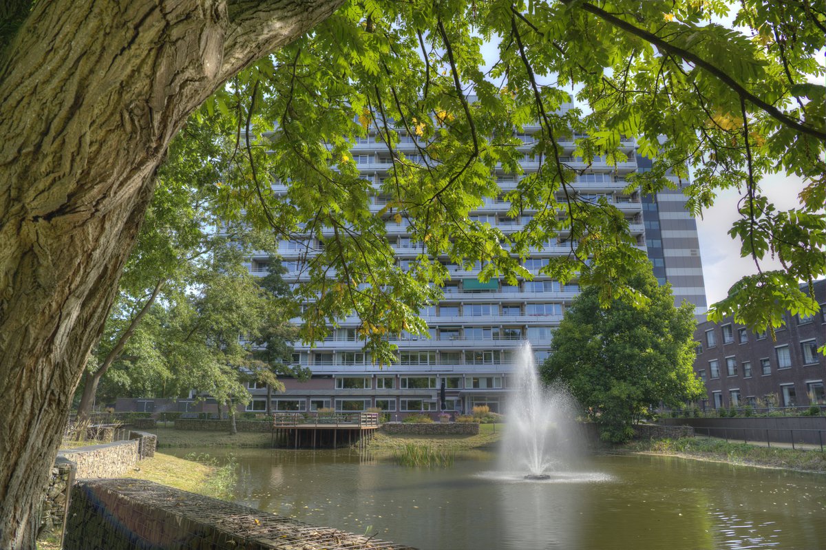 Leuke #vacature bij #hetlaar : #Coördinator #Huisvesting #Beheer &amp; #Onderhoud Is #facilitair jouw terrein? Solliciteer bij de aangenaamste woonzorgorganisatie van Tilburg jijmaakthetmogelijk.nl