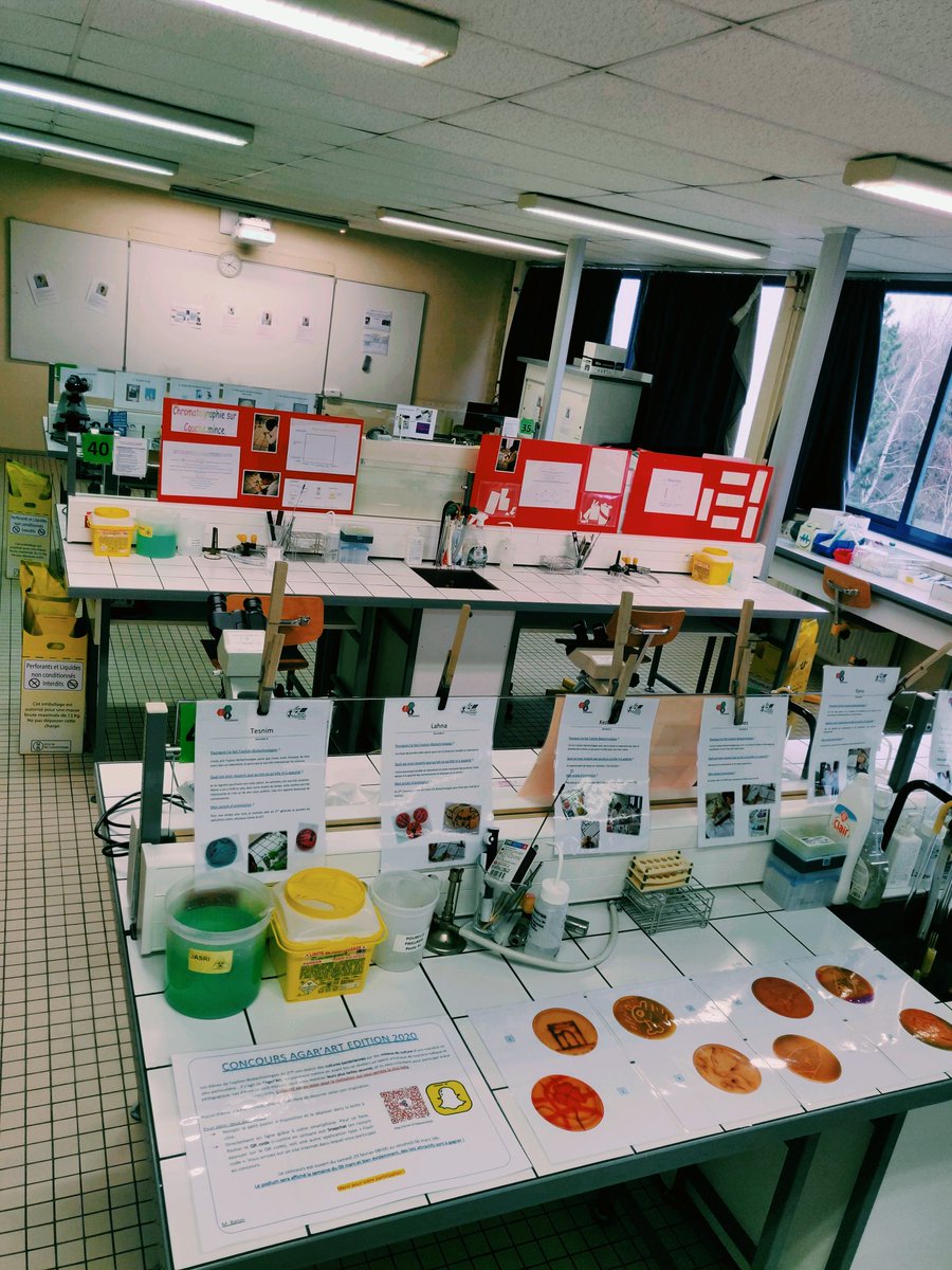 StephaneBaton's tweet photo. Journée portes ouvertes 2020 au lycée #JeanMonnet de #Franconville #stl 🧬 #biotechnologies #JPO2020 #AgarArt 🦠merci à tous les élèves participants de s'être levés tôt 👌😊 @jaimelesbiotech https://t.co/bEFR60KeJf