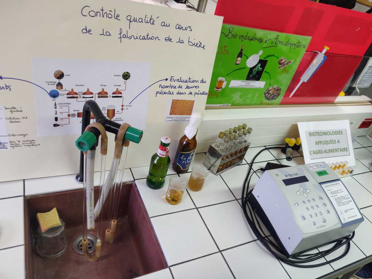 StephaneBaton's tweet photo. Journée portes ouvertes 2020 au lycée #JeanMonnet de #Franconville #stl 🧬 #biotechnologies #JPO2020 #AgarArt 🦠merci à tous les élèves participants de s'être levés tôt 👌😊 @jaimelesbiotech https://t.co/bEFR60KeJf