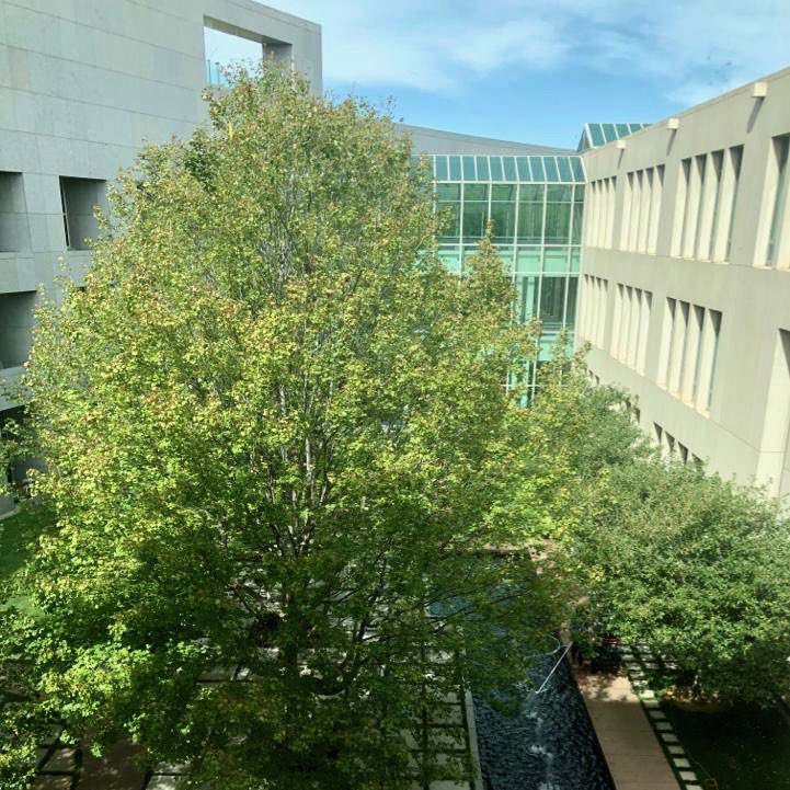 I am back in Canberra for a week of Senate Estimates. As I travel between committee rooms and my Senate suite this is one of today’s views. #auspol