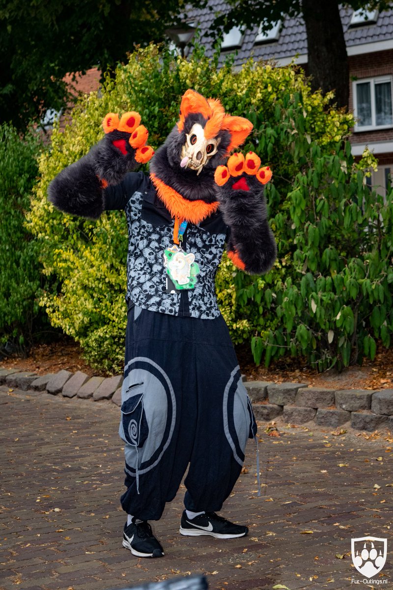 FlareGryphon's tweet photo. @Hell_Charm @RunningRiot4798 @Pyremoonshadow @wingedwolf94 @Lavanda_wendigo Here is my other skulldog Pallidi https://t.co/1fchFS54Qf