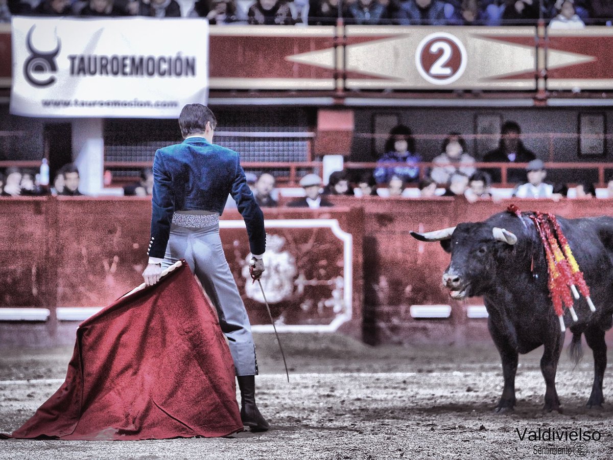 Tauromaquia es Arte... es Cultura ... es Tradición... y es solidaridad. 
Felicidades a <a href="/tauroemocion/">Tauroemoción</a> y a <a href="/conmuchotemple/">CON MUCHO TEMPLE</a> por sendos Festivales. La tauromaquia es mucho más...
#toros #tauromaquia #Cultura #Solidaridad #coleccionistademomentos 
📸VALDIVIELSO <a href="/SentimientoTaur/">Sentimiento Taurino</a>