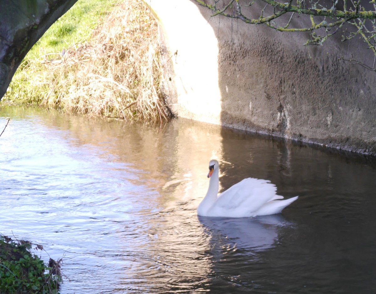 Nice way to start the week with 2 welcome visitors ...