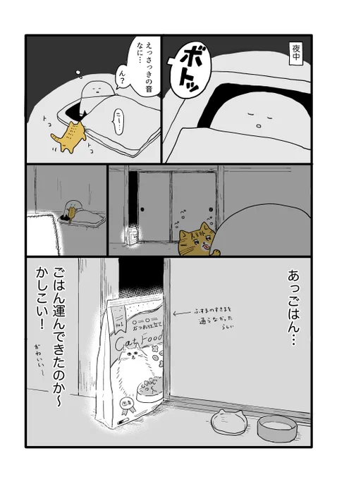 持ってきた 