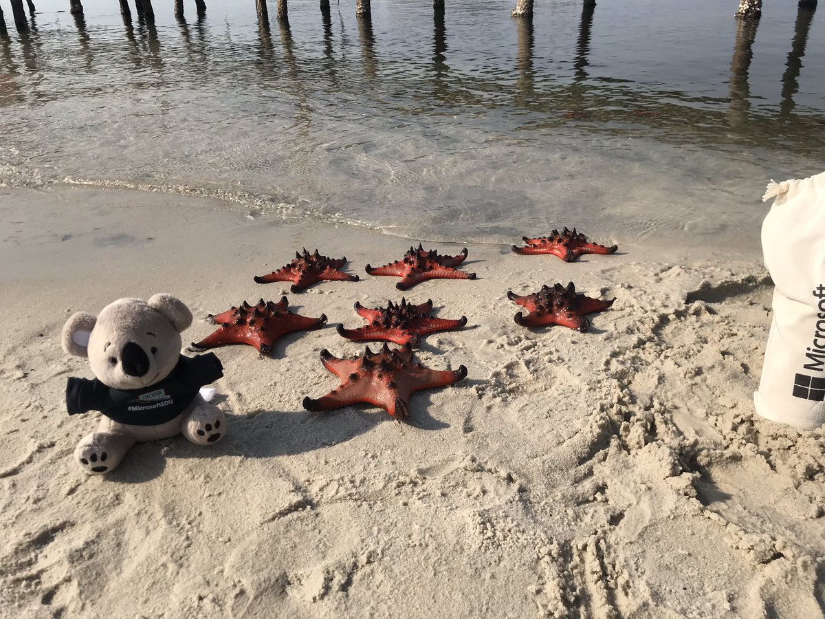 duc pham ngoc 🔜 to Sydney 🇦🇺 👨‍💻 tweet media