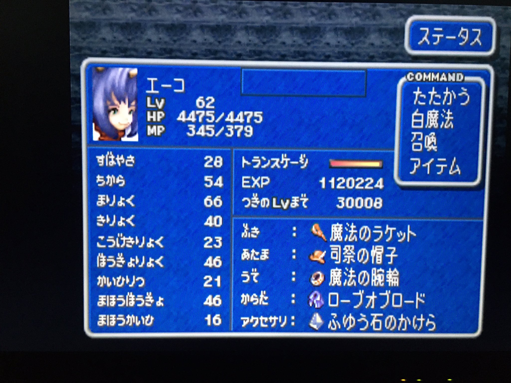 きぎ 大投票でff9が懐かしくなったのでアーカイブスで昔のデータ引っ張り出したらエーコがわりとえげつない育ち方してて笑いましたわ マーカス放置してたなそういえば T Co 2fanrzc3lt Twitter