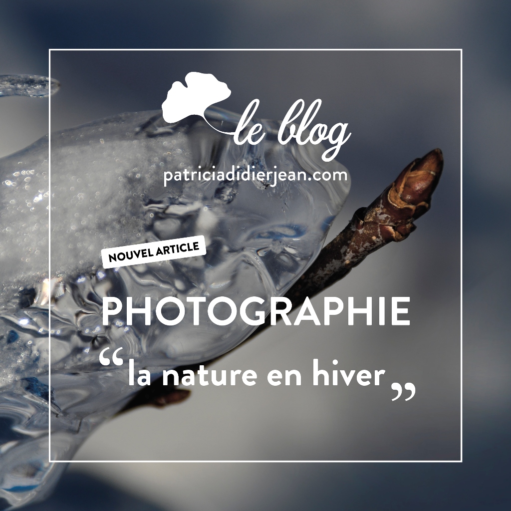 DidierjeanP's tweet photo. Nouvel article sur mon blog ! 📷https://t.co/arGPrtubr2
Bonne lecture !
#photographie #graphistefreelance #communication #NaturePhotography https://t.co/1Dp3x4oef5