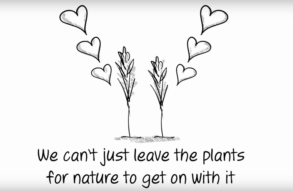 Why do plants sometimes need a little help when it comes to finding the perfect partner? …cambridge-superwheat.eventbrite.co.uk