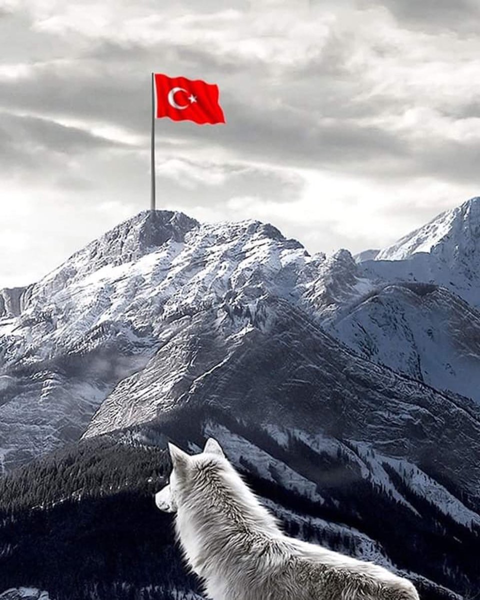 Aspanda bürküt, jerde kökbörü bol!
(Göklerde kartal, yerde Bozkurt ol) 

#samdaisyan  #turksilahlikuvvetleri