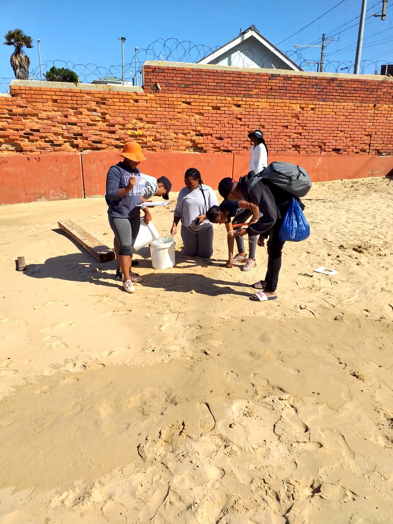 Nikki_Sea_Life's tweet photo. Students sampling for plastics this weekend on their camp #microplasticsa #cputmarinescience #marinescientistsinthemaking #youngscientists #2ndyearcamp #kalkbay https://t.co/mybmDoDYZ4