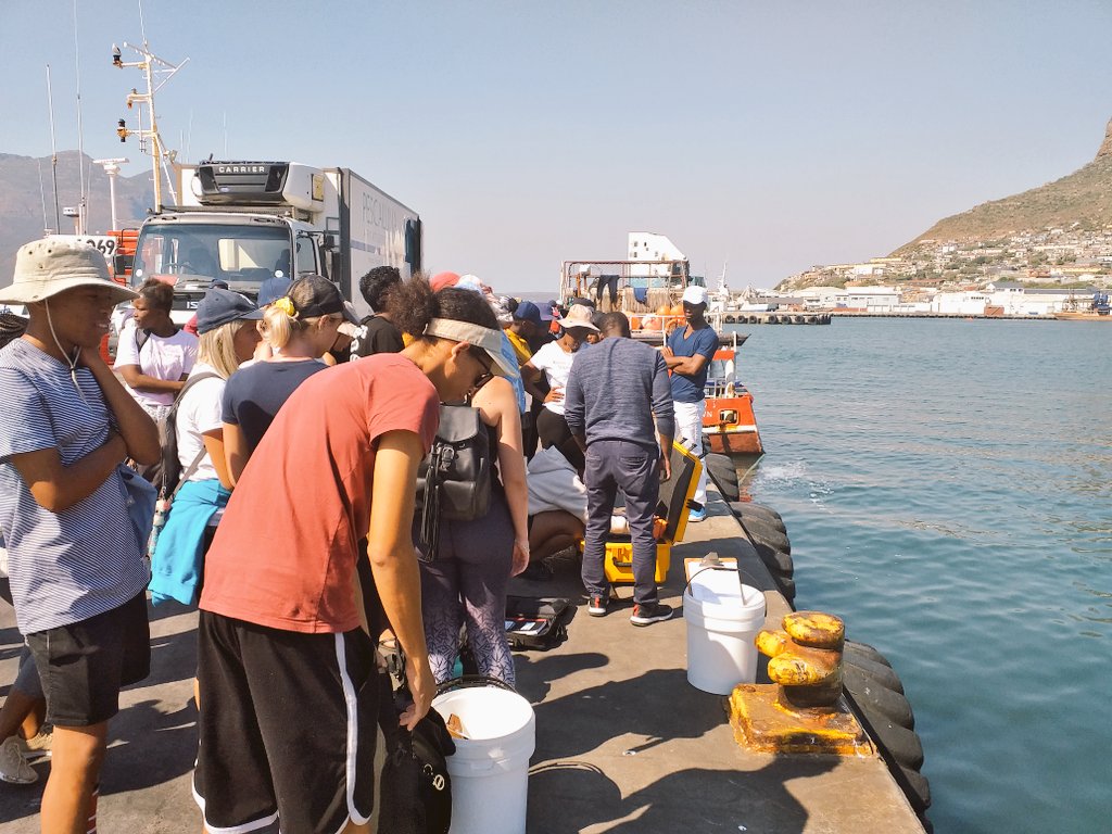 Nikki_Sea_Life's tweet photo. Students from CPUT Marine Science class learning how to use a CTD on their camp and a seal in the background #cputmarinescience #youngscientistsinthemaking #youthoftoday #marinescientists #marinescience #oceanography #houtbay https://t.co/pnytwVmhBw