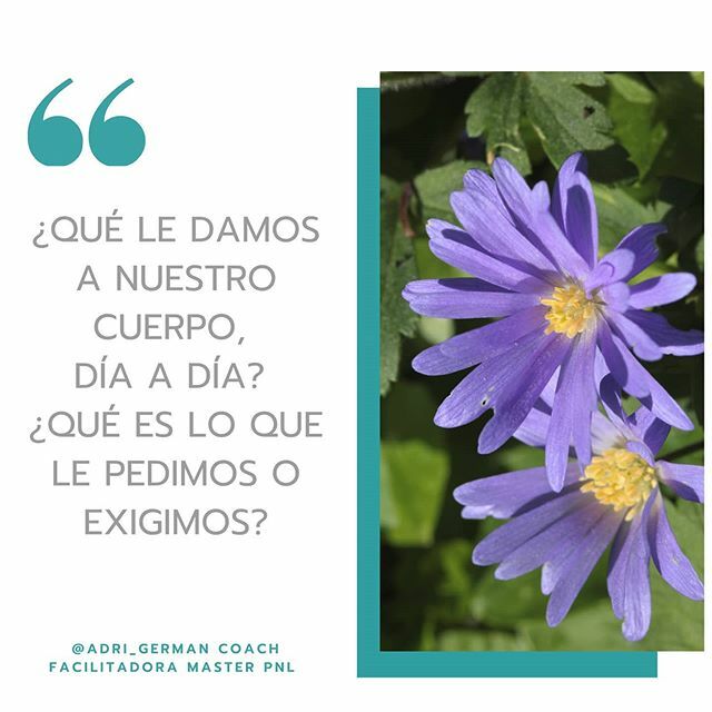 adrianagerman's tweet photo. ¿QUÉ LE DAMOS A NUESTRO CUERPO, ​
DÍA A DÍA? ¿QUÉ ES LO QUE LE PEDIMOS O EXIGIMOS?🌿🌿🌿🌿 Esta noche, antes de 
dormirte, podrás pedirles disculpas por lo que haga falta, reconciliarte con 
él... Y agradecerle🌿🌿 #autocuidado #agradecimiento #reconci… https://t.co/kn0SytaWqG https://t.co/VCKgdFxovA