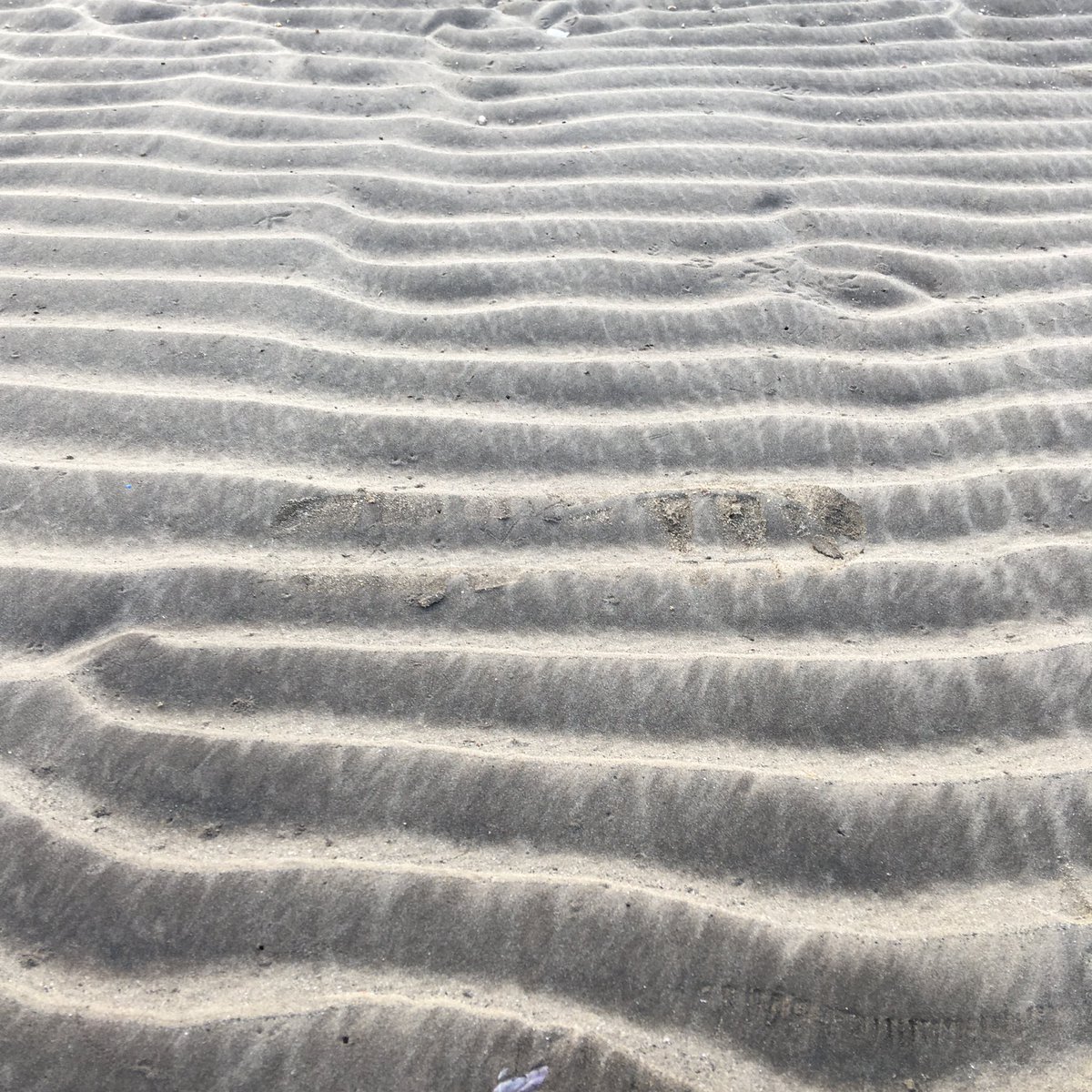 Nithin's tweet image. 7:01 AM: 140 BPM Beach run. Shocked at the average pace 😱🤣

#Runners360 #HRbasedrun #140BPM #180method #MAFmethod #beachrun #nike #zoom #vaporfly4 #werun2020 #werunmumbai #nature #sunrise #nofilter