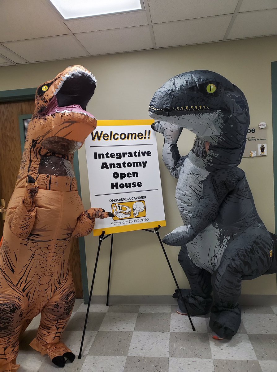 AnatomyMizzou's tweet photo. For more pictures of our Open House check out the album in Facebook. https://t.co/39Jh2PKlXn. Thanks to @AnatomyGrads @pdavidpolly. @mumedicine @Mizzou @NSF and #COMO friends for helping make it happen! https://t.co/SG4Nq4grh1