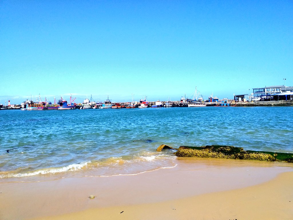 Nikki_Sea_Life's tweet photo. 2nd year Marine Science camp 2020 #cputmarinescience #marinesciencecput #youngscientistsinthemaking #marinescientists #youthofSA #oceanvibes https://t.co/7gV0TACmuM